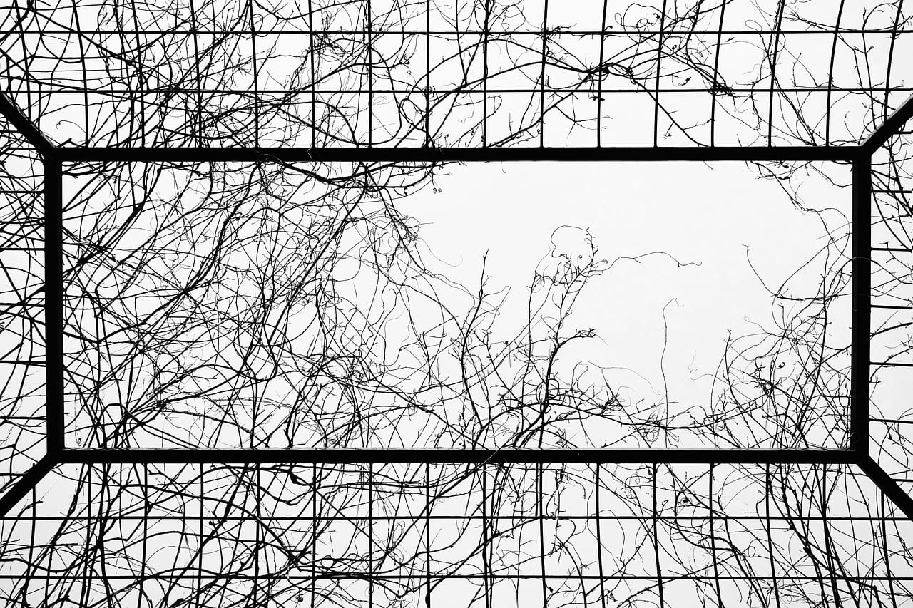 Electromagnetic Pulse Shielding