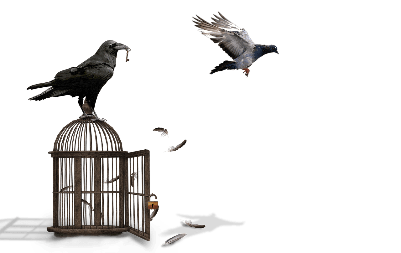 EMP Protection for Electronics